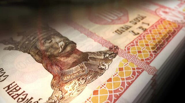 Moldova money Moldavian Lei counting. 100 MDL banknotes. Fast cash note count macro loop. Business, finance and economy. Loopable and seamless concept.
