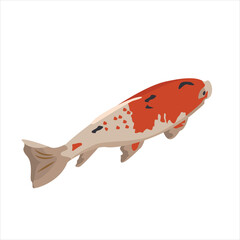 Vector illustration of Koi fish. Japanese carp isolated on white background.