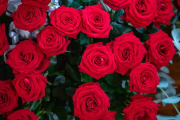 Rose rosse 