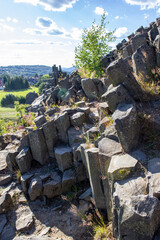 Majestic basalt mountains from which trees grow. Rod-shaped hexagonal stone mountains in the...