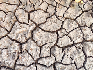 Dry cracked earth showing signs of drought in a rural area during the summer months