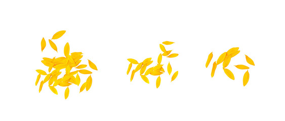 Yellow Petals Isolated, Sunflower Petal Pile, Orange Blossom Design