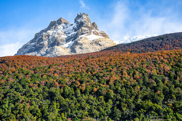 Scenic view of colorful trees in the foreground complements a majestic snow-capped mountain