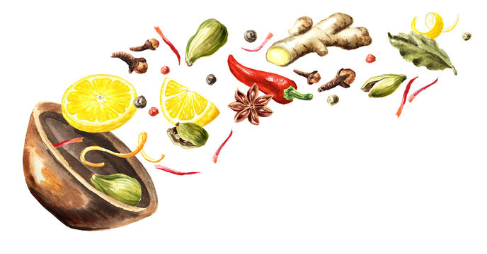 Spices in the bowl. Watercolor hand painted illustration, isolated on white background