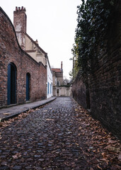 Autumn Leaves On A Cobbled Back Street In York