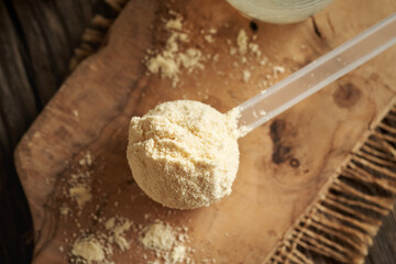 Whey protein powder in a plastic measuring spoon