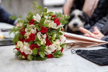 Fiori con cagnolino © Piero