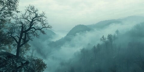 Fototapeta premium Misty morning in the Appalachian Mountains with fog enveloping the peaks, creating an ethereal landscape.