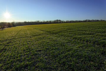 A beautiful morning landscape. A warm atmosphere of sunrise.