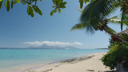 Summer tropical travel background. Sand beach, palm tree leaves, turquoise crystal water under clear blue sky. Moorea island in distance. Stunning nature paradise, exotic travel to French Polynesia