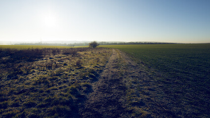 Fototapeta premium A beautiful morning landscape. A warm atmosphere of sunrise.