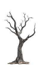 A tree with no leaves is standing on a white background