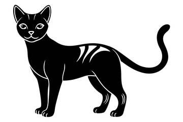  Burmilla Cat Silhouette Vector Illustration