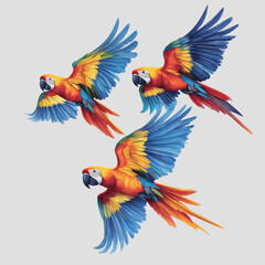 Obraz premium Vibrant and Colorful Macaws in Flight Vector Illustration on a White Background Ideal for Nature and Wildlife Themes