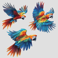 Obraz premium Stunning Vector Art of Vibrant Macaws in Flight, Set Against a Clean White Background, Showcasing Their Colorful Feathers and Graceful Movement