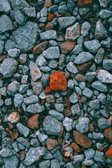 abstract background of stones on the ground