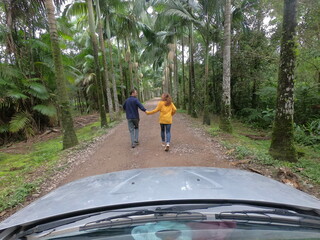 casal caminhando em estrada ladeada por coqueiros