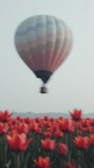 Colorful hot air balloon in the sky over vibrant tulip field.