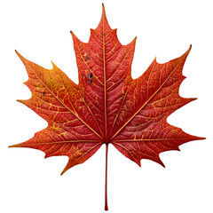 Fototapeta premium Autumn Leaves Falling Natural Environment Close-Up Photography Vibrant Colors Seasonal Change Concept for Nature Lovers
