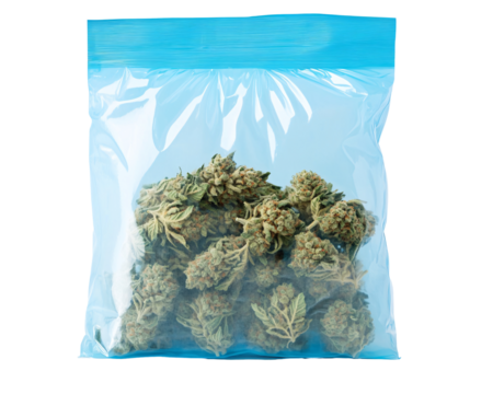 a bag of green plants