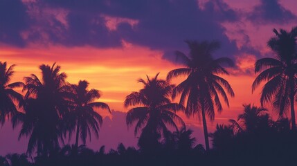 Fototapeta premium Silhouetted Palm Trees Against Vibrant Sunset Sky