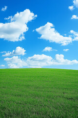 Obraz premium A scenic landscape of bright green grass and a vivid blue sky with light white clouds softly drifting 