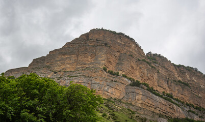 a towering cliff face with visible stratification, towering over a lush green forest under a gloomy overcast sky.