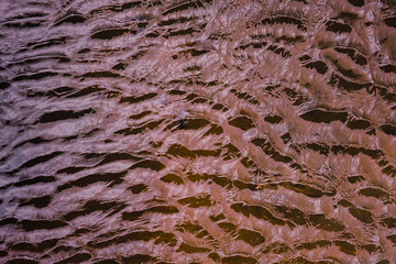 refelction an ripples on the water in the pool, color background