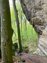 Stairway path in the forest amidst rocks and trees. Mullerthal National Park in Luxembourg