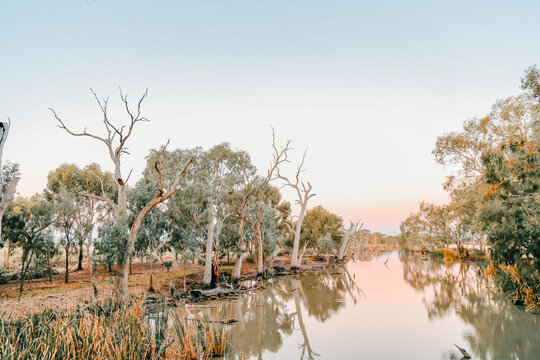 Tranquil creek lined with gum trees in central Victoria