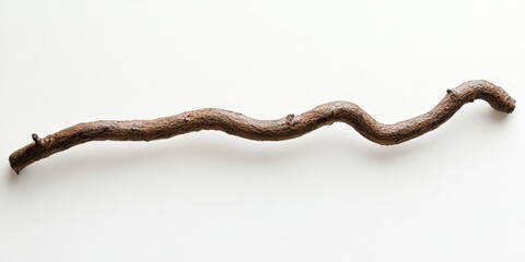 Obraz premium Twisted Dark Brown Wooden Branch on White