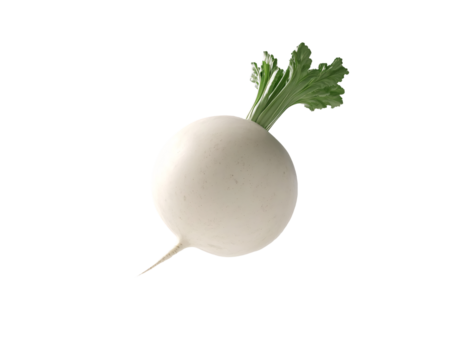 a white round object with green leaves