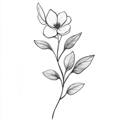 Elegant line art of a flower and leaves, perfect for enhancing designs with a touch of nature and simplicity.