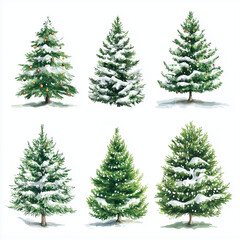 Christmas tree on a white background