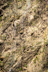 A rock wall with moss growing on it