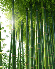 Inviting Green Bamboo Pathway with Beautiful Blue Sky Above Wallpaper