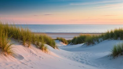 Papier peint photo Le salon Dune path leads to gentle ocean waves under a serene sky.  © janzwolinski