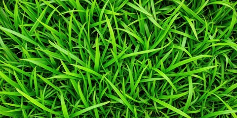 Grass textured background with vibrant green blades of grass, detail, garden