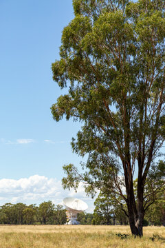 Radio telescope of the Australia Telescope Compact Array