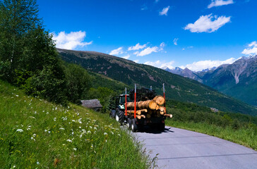 A tractor laden with logs makes its way along a winding mountain path surrounded by greenery and scenic views, symbolizing hard work nestled within nature's embrace.