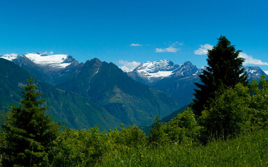 An awe-inspiring view of snow-capped mountains illuminated by the sun, surrounded by lush forests under clear blue skies, capturing nature’s unspoiled beauty.