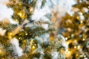 Christmas gift ornament on pine tree branch winter season