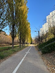 가을 공원 풍경