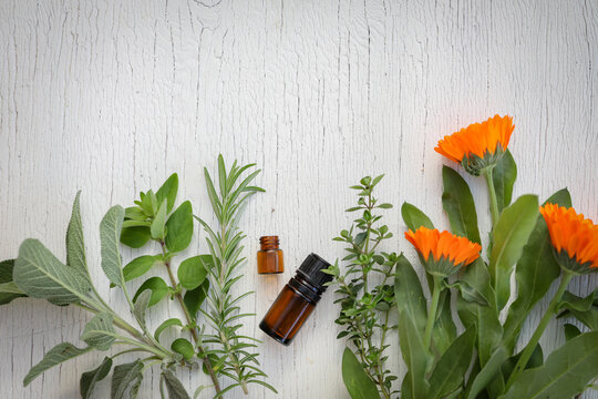 Flat lay image featuring essential oil bottles with fresh herbs on white wood background