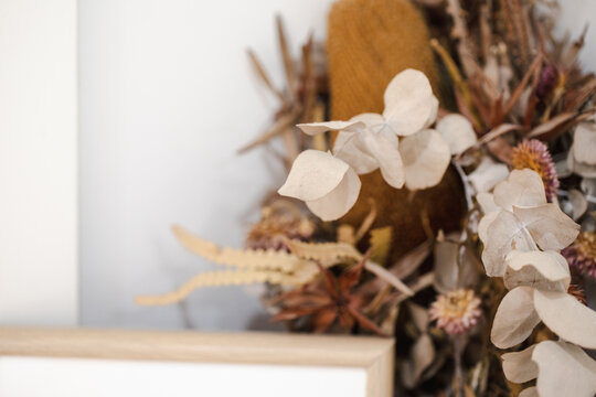 Arrangement of dried flowers on basic white background with copy space