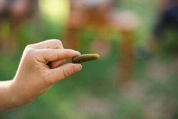 Hand holding a tiny pickle with green blurred background