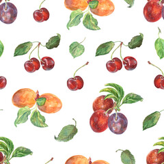 Pattern seamless of apricot, cherry, plums branches with leaves hand drawn in watercolor. Ripe berries on bunches of fruit tree. Fruits are painted very brightly orange, red, burgundy, purple and