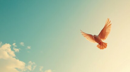 Obraz premium A serene image of a bird soaring against a bright sky, symbolizing freedom and peace.