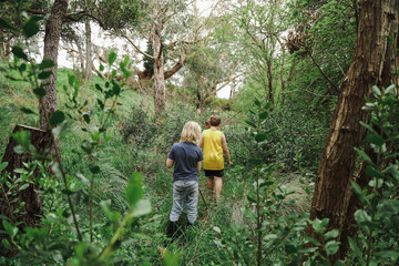 Kids on adventure in lush green woodland