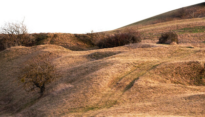 Golden light casts a serene glow over rolling dry hills dotted with sparse trees and brush, creating a timeless landscape reminiscent of solitude and natural beauty.